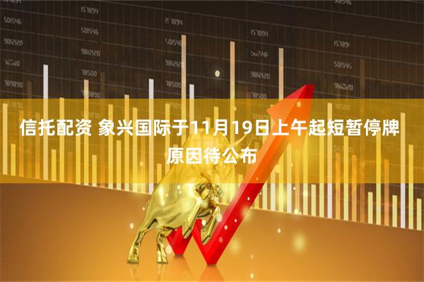 信托配资 象兴国际于11月19日上午起短暂停牌 原因待公布