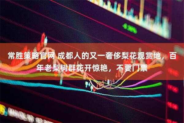 常胜策略官网 成都人的又一奢侈梨花观赏地，百年老梨树群花开惊艳，不要门票